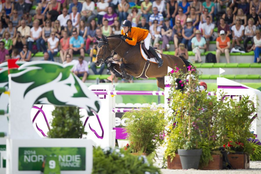 Verdi - Showjumping Stallion At Stud